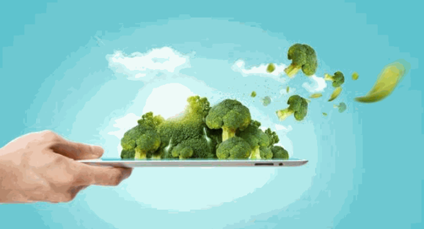 多功能绿色生态养殖仪